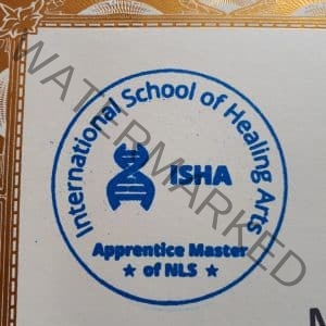 Bioresonance Certificate : ISHA AMC LEVEL 1-2-3-4-5-6-7-8 - ISHA MASTER - of Bioresonance NLS - Pregnancy - Aura Healing - Fears Healing - Electricity - Automation of NLS - Remote Healing - *real 24k gold, HANDMADE by MGM - real wax stamps, real paper stamp - CERTIFICATE  - The 24K Gold ISHA Certificate - Magnetised with *Secret healing energies from Grandmaster  *Including worldwide shipping ! - Image 5