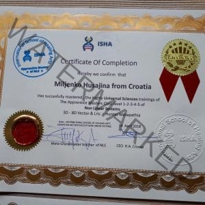 BIORESONANCE ISHA CERTIFICATE + PIN - The *Special - ISHA Apprentice Master of NLS - LEVEL 1-2-3-4-5 - Promo 4 weeks ! *real 24k gold, real wax stamps, real paper stamp - CERTIFICATE + PIN - The 24K Gold ISHA Certificate - Magnetised with *Secret healing energies from Grandmaster  *Including worldwide shipping ! - Image 5
