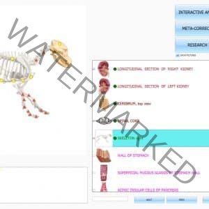 Bioresonance Quantum Health : * NEW: ISHA DOGS PRO NLS *** DOGS ***  : *ONLY SOFTWARE >> NO DONGLE <<   *TEMPORARY A SUPER OFFER !!!     FOR 4 WEEKS THE PRICE IS ONLY ??? - Image 6